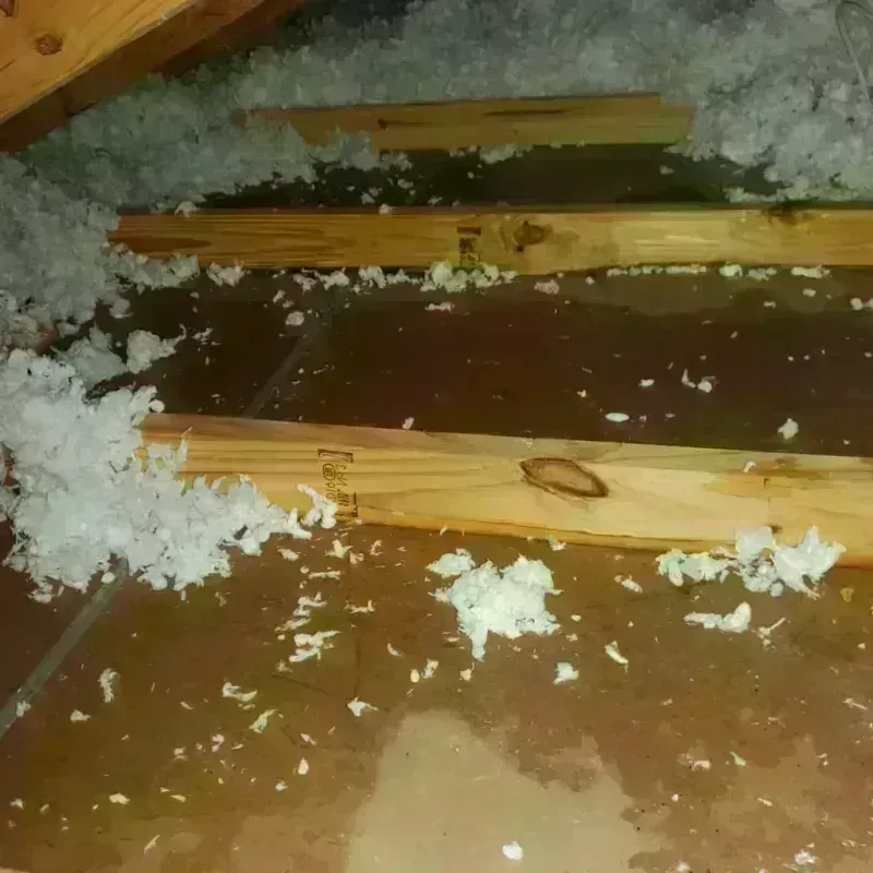 Attic Water Damage in Langley, SC