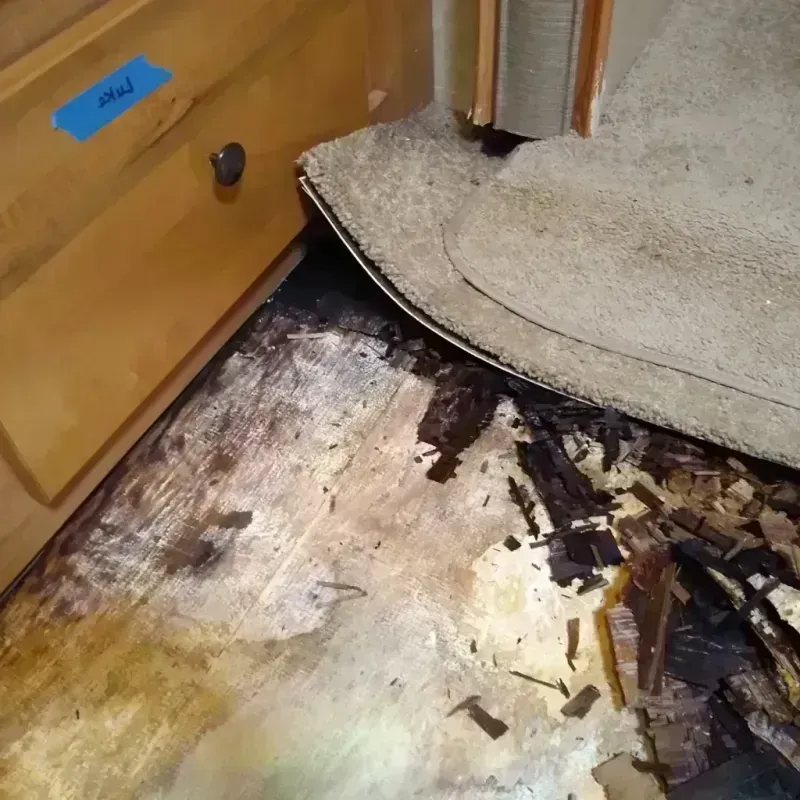 Wood Floor Water Damage in Langley, SC